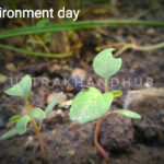 विश्व पर्यावरण दिवस 5 june world environment day ✅✅✅