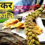 मकर सक्रांति या घुघुतिया makar sakranti or ghughutiya uttarakhand