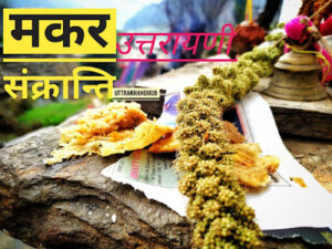 मकर सक्रांति या घुघुतिया makar sakranti or ghughutiya uttarakhand
