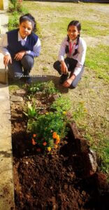 svm mehalchauri Activity image