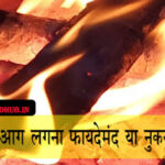 जंगल में आग लगना फायदेमंद या नुकसानदायक Advantages and disadvanges of forest fire