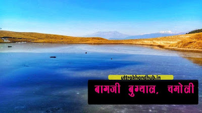 Bagji Bugyal बागजी बुग्याल