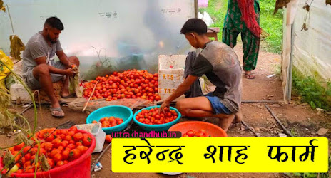 Harendra shah farm school