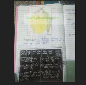 art lesson plan and drawing lesson plan for B.ed