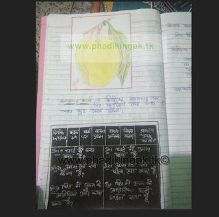 art lesson plan and drawing lesson plan for B.ed