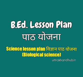 physical science lesson plan