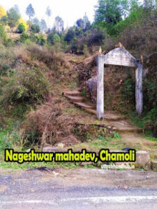 Nageshwar Gufa gairsain