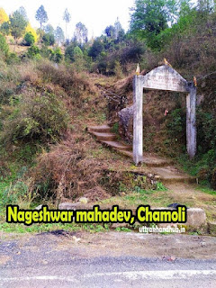 Nageshwar Gufa gairsain