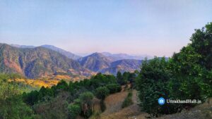 Badiyari gairsain village