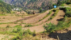 harsari village gairsain