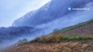 Harsari images