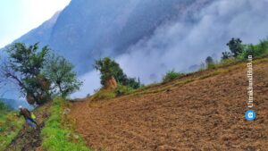 Harsari photo