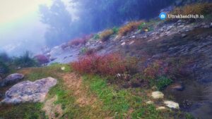 Ramganga river photo