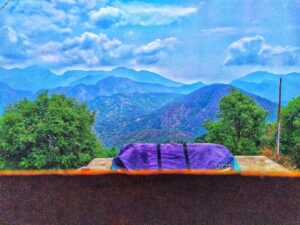 kimpu photos