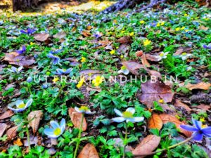 beautiful devbhoomi photos