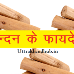 chandan