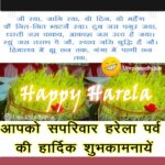 harela photo