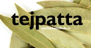 tejpatta