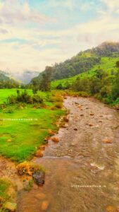 हरेला उत्तराखण्ड