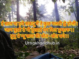 best happy new year wish gadwali